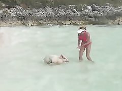 Schwimmen-Schweine mit Girls im Strand, Exuma, bahamas